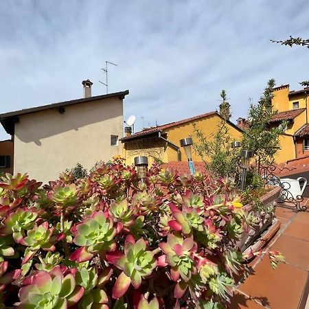 Margherita Apartment W/ Terrace Bolonia Exterior foto